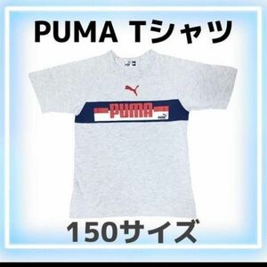 子供服 子ども服 男の子 メンズ 夏服 PUMA プーマ 半袖Tシャツ 150 グレー