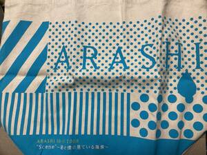 嵐 ARASHI 10-11 TOUR “Scene”～君と僕の見ている風景～ トートバッグ エコバッグ 鞄 かばん カバン