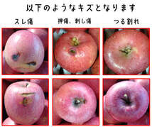 青森りんご訳ありサンふじ15キロ前後モールド詰め1円～ 発送は、1月5日頃となります。_画像3