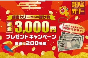 懸賞応募★現金3000円が200名様に当たる！銀座カリーからの贈り物プレゼントキャンペーン！応募バーコード2枚1口セット