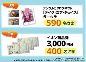 懸賞応募★イオン商品券3000円分！カタログギフトが当たる！イオン フローズンキャンペーン！応募レシート1口