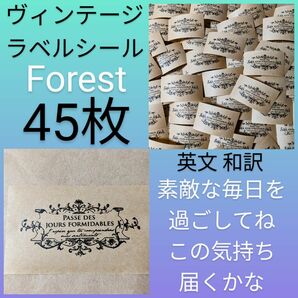 ヴィンテージラベルステッカー 45枚 クラフトシール 紙製シール 感謝の言葉 英字 英文