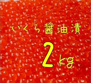 送料込み！いくら醤油漬 2kg