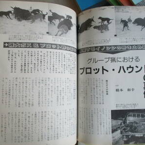 E0 狩猟界 1995年（平成7年）第39巻12冊セット 狩猟界社 イノシシ猟 エゾシカ猟 ワナ猟 獣猟犬訓練 ライフル銃の画像8