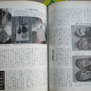 E0 狩猟界 1996年（平成8年）第40巻不揃い11冊セット 狩猟界社 ヒグマ撃ち イノシシ猟 カモ猟 空気銃猟 ライフルリローディングの画像9