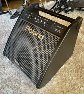 Roland パーソナルモニター スピーカー PM-100 ドラム・アンプ エレドラ