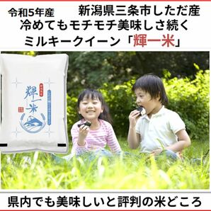 新潟産ミルキークイーン白米10kg 新潟県三条市旧しただ村産　冷めてもモチモチ美味しいミルキーをおにぎりやお弁当にいかがでしょう？