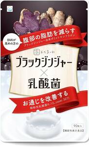 【送料無料】ブラックジンジャー 乳酸菌 サラシア イヌリン コンブチャ 酵素 黒酢 プロアントシアニジン K-1（新品・未使用）