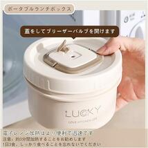 【送料無料】保温弁当箱 電子レンジ対応 保温ランチジャー 2段式 弁当箱 ステンレス スープランチセット 漏れ防止（新品・未使用）_画像4