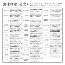 表札 ブロンズ アルミ 戸建 上品 スタイリッシュ モノトーン 福彫 DESIGN CAST 鋳物 切り文字_画像6