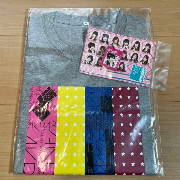 AKB48 ヘビロテ柄4色Tシャツ　グレーメンズM・パズルキーホルダー指原莉乃　2個セット