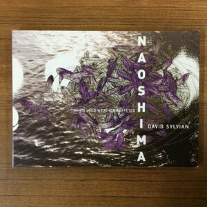 DAVID SYLVIAN/WHEN LOUD WEATHER BUFFETED NAOSHIMA (CD) ss0011 デヴィッド・シルヴィアン