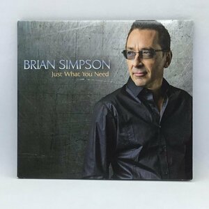 ブライアン・シンプソン / ジャスト・ホワット・ユー・ニード　(CD) SHANACHIE5404　BRIAN SIMPSON / JUST WAHT YOU NEED