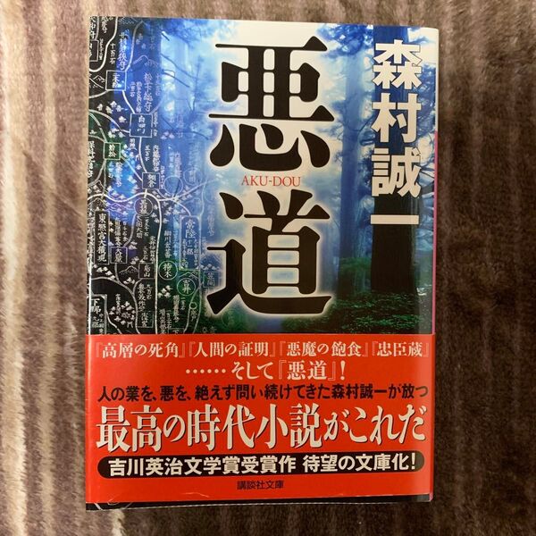 悪道 (講談社文庫 も1-94) 森村誠一/〔著〕