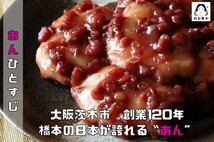 粒あん 500g×3袋 北海道十勝産 あんひとすじ 橋本食糧 つぶ餡 つぶあん 粒餡 十勝産小豆使用 餡子 あんこ アンコ 国産 国内産_画像7