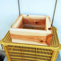 日本ミツバチ　重箱式　巣箱材　杉　24枚　プレーナー　蜜蜂　みつばち　巣箱　重箱_画像3