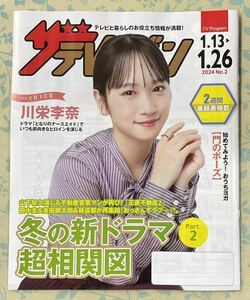 非売品★日本生命　ザテレビジョン★川栄李奈さん★ となりのナースエイド