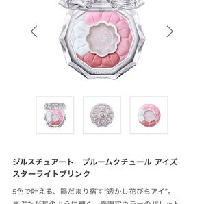 JILLSTUARTブルームクチュールアイズスターライトブリンク限定カラー21