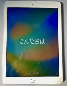 Apple iPad Pro9.7インチ（初代）256GB OSサポート対象外（16.7.4）ACアダプター・充電ケーブル付き