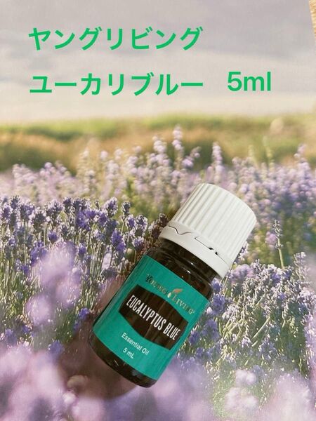 【新品】ユーカリブルー　5ml ヤングリビング