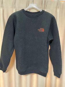 THE NORTH FACE ビームス コラボ ポーラテック フリース M 肉厚