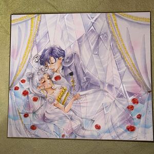 Art hand Auction 美少女戦士セーラームーン 同人手描きイラスト キングエンディミオン&ネオクイーンセレニティ(銀髪), コミック, アニメグッズ, 手描きイラスト