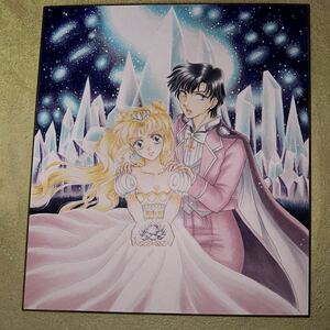 Art hand Auction Pretty Guardian Sailor Moon Doujin Hand-drawn Illustration King Endymion & Neo Queen Serenity Part 2, comics, anime goods, hand drawn illustration