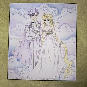 Art hand Auction بحار القمر Doujin رسم توضيحي مرسومة باليد King Endymion & Neo Queen Serenity الجزء 4, كاريكاتير, سلع الأنمي, رسم توضيحي مرسومة باليد