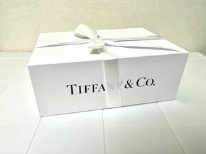 Tiffany&co RIMOWA ティファニー リモワ コラボ　ジュエリーケース　百貨店購入
