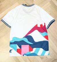 送料無料 特価即決【未使用】 NIKE SB ★ USA VNECK JERSEY QS Tシャツ (Sサイズ) ★ ナイキSB パラ Parra アメリカ代表 CT6072_画像3