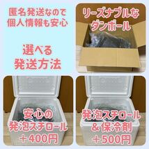 タマミジンコ 50g めだか ベタ 金魚 などの餌に 1円オークション 1/12発送 朝7時までにご入金お願いします。_画像3