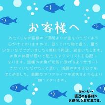 タマミジンコ 50g めだか ベタ 金魚 などの餌に 1円オークション 1/12発送 朝7時までにご入金お願いします。_画像6