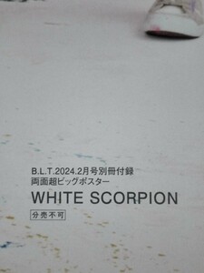 524 WHITE SCORPION 両面超ビッグポスター B.L.T.