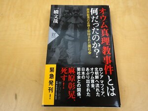 初版 オウム真理教事件とは何だったのか? 麻原彰晃の正体と封印された闇社会 一橋文哉 PHP新書