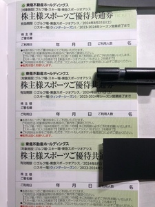 東急不動産ホールディングス 株主優待券 スポーツご優待共通券１枚 スキー場 東急スポーツオアシス 即決あり