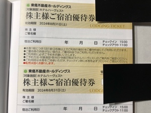 東急不動産ホールディングス ご宿泊優待券２枚 ホテルハーヴェスト 浜名湖 伊東 鬼怒川 旧軽井沢 株主優待券 即決あり