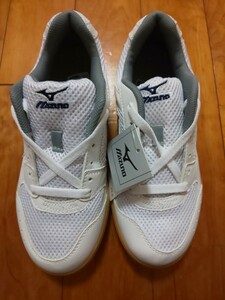 シューズ ミズノ mizuno 24cm インドア レディース メンズ 体育館シューズ 靴 運動靴 24.0cm 体育館 体育 