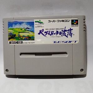 ペブルビーチのはとう、T&E SOFT