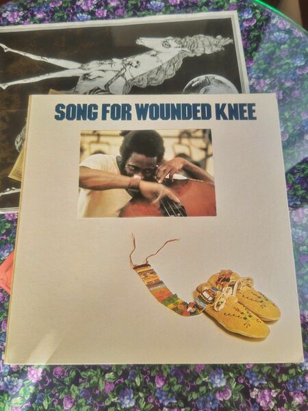 写真貼付☆Richard Davis /Song For Wounded Knee☆