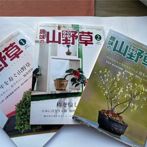 趣味の山野草　2017年1月~3月　3冊　栃の葉書房。