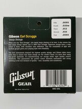 ギブソン　Gibson Earl Scruggs 5弦バンジョー弦　ライト　9.5 10 13 20 9.5 SBG-ESL 未開封未使用　　4セット　_画像4
