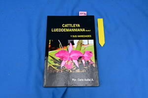 FF-74　CATTLEYA LUEDDEMANNIANA　Carlo Aulisi A 著　洋蘭 中古書籍 　(R6.0120-FF-本) 