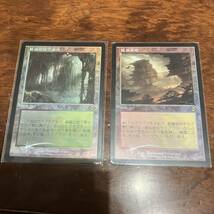 MTG foil 乾燥台地　新緑の地下墓地_画像1