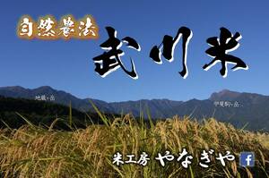 ［自然農法］武川米　幻の米 よんぱち　玄米食初心者にも好評　玄米 1.5kg（約１升）