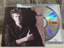 DON HENLEY - BULDING THE PERFECT BEAST 32DP193 国内初版 日本盤 税表記なし3200円盤 廃盤 レア盤_画像1