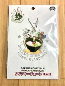 福岡 博多 DREAMS COME TRUE WONDERLAND 2023 クリアキーチェーン セガ SEGA ドリカム 限定 レア プライズ