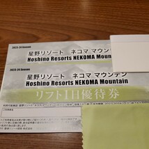 ネコママウンテンスキー場リフト１日券2枚　2月2日発送日限定になります。_画像1