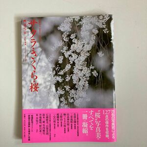 サクラ・さくら・桜　写真集 （ブティック・ムック　ｎｏ．９９２） 隔月刊『風景写真』編集部／編集