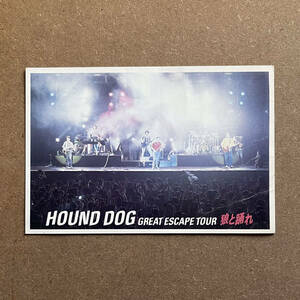 ★ ハウンド・ドッグ　HOUND DOG　ポストカード