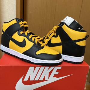 NIKE DUNK HI RETRO 29cm